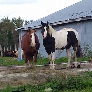 Meet your Posher, Marie-jo